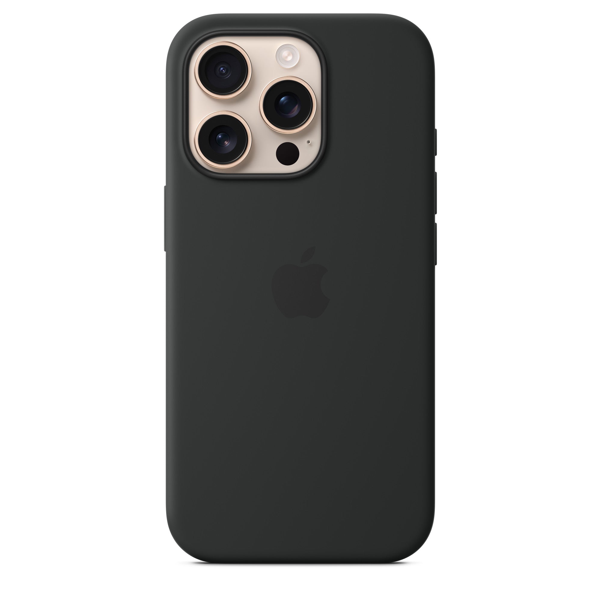 iPhone 16 Pro Max Case