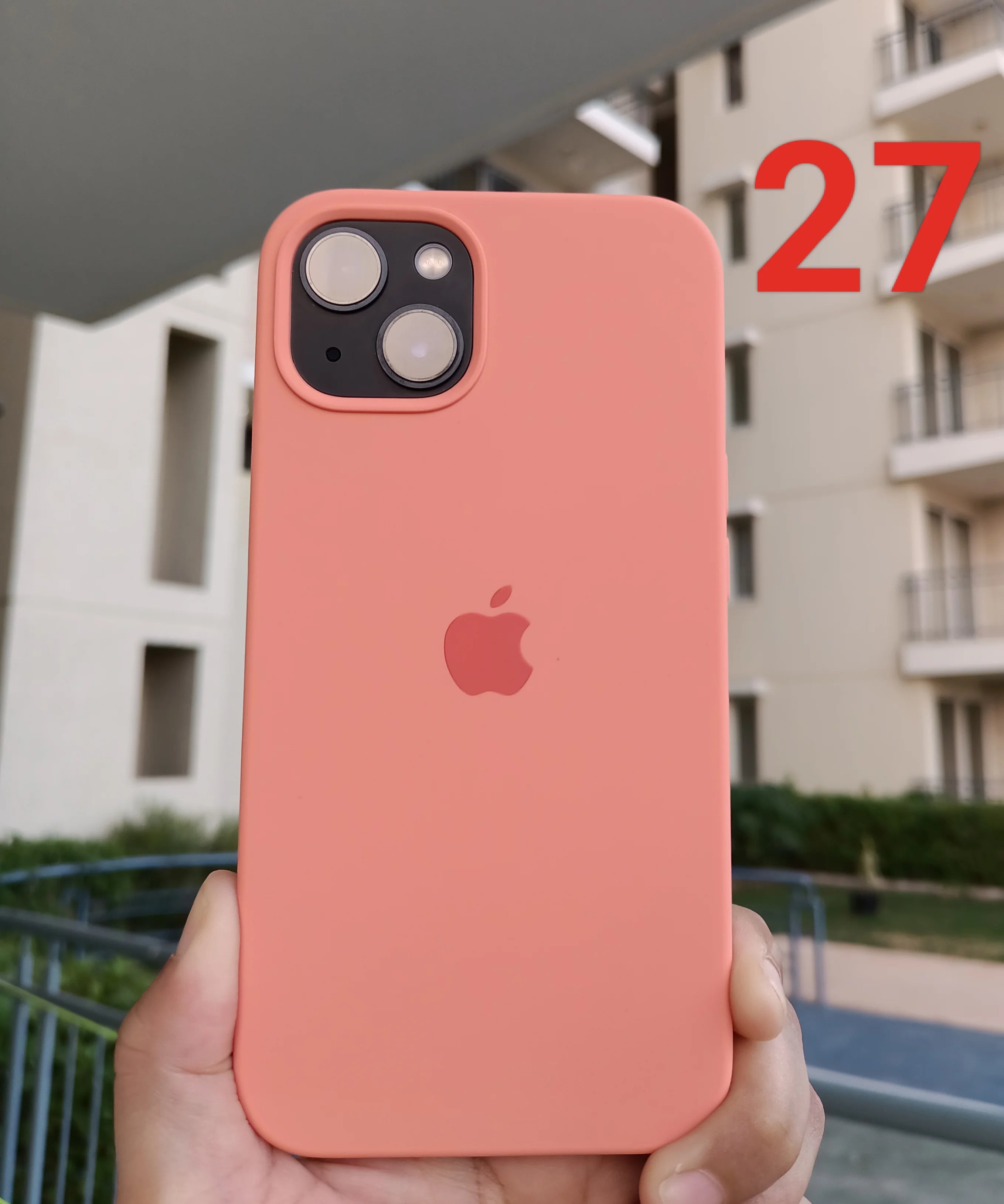 iPhone Silicone Case (Begonia)